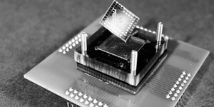 Ilmuwan Ingin Ciptakan Chip dari Sel Otak Hidup