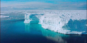 Ilmuwan Ungkap Kehidupan di Bawah Es Antartika!