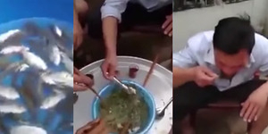 Ngeri, Keluarga di China Makan Ikan Hidup-Hidup