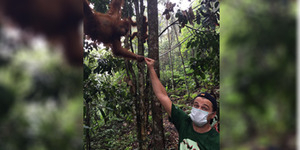 Leonardo DiCaprio Pamer Foto Bareng Orangutan di Aceh