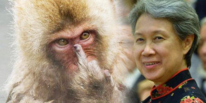 Posting Foto Monyet 'Jari Tengah', Istri PM Singapura Minta Maaf
