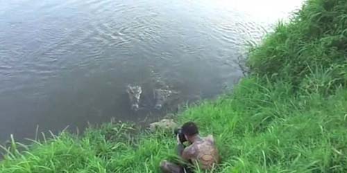 Fotografer ini Hampir Dimakan Buaya