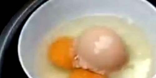 Wow, Ada Telur Ayam Besar Berisi 1 Telur dan 2 Kuning Telur